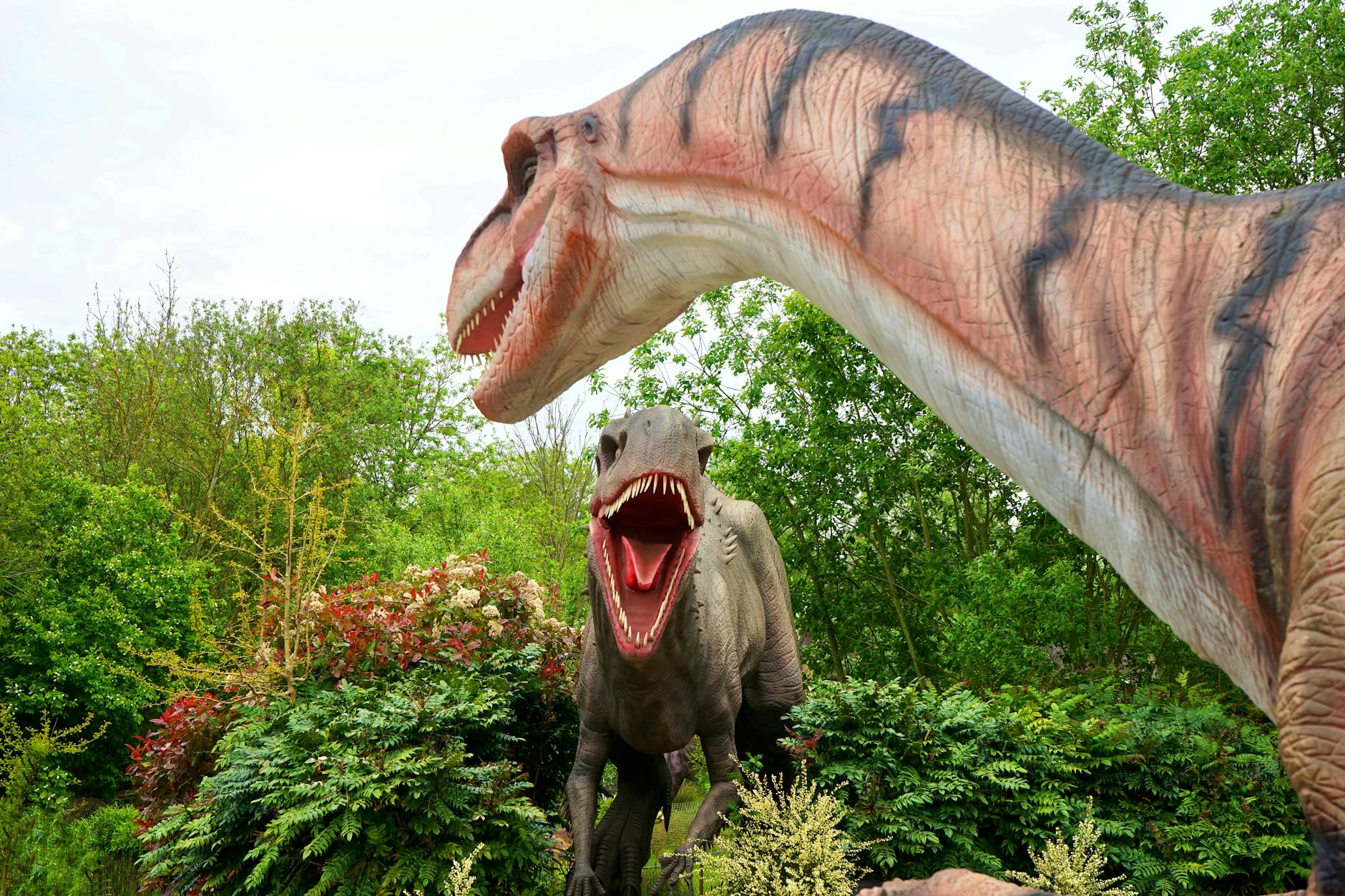 5 Prehistoric Plants for a Timeless Garden Bring ancient beauty to your garden with these five remarkable prehistoric plants, each with a story stretching back millions of years.