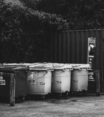 Creative Solutions: 10 Innovative Ideas to Hide Unsightly Trash Cans