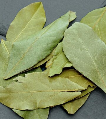 The Indoor Bay Laurel: A Perfect Houseplant for Every Home