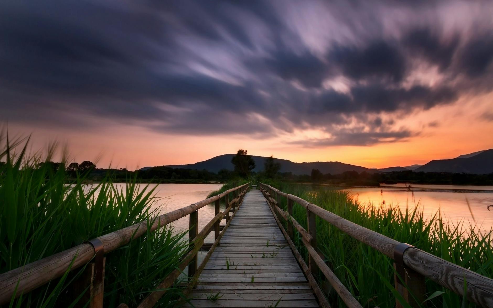 DIY Boardwalk: Building a Planked Pathway at an Off-Grid Cabin A hands-on guide to creating a rustic, summer-camp-inspired boardwalk—finished in just one afternoon.