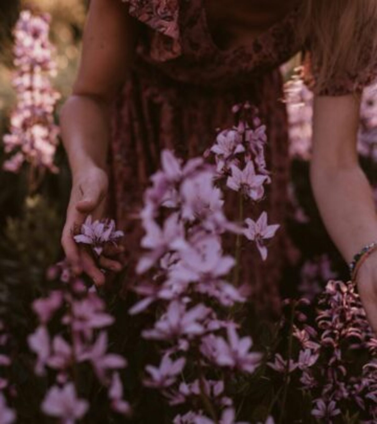 How To Grow Freesia: A Complete Guide To Fragrant Blooms Discover how to successfully grow these exotic, fragrant bloomers indoors and outdoors