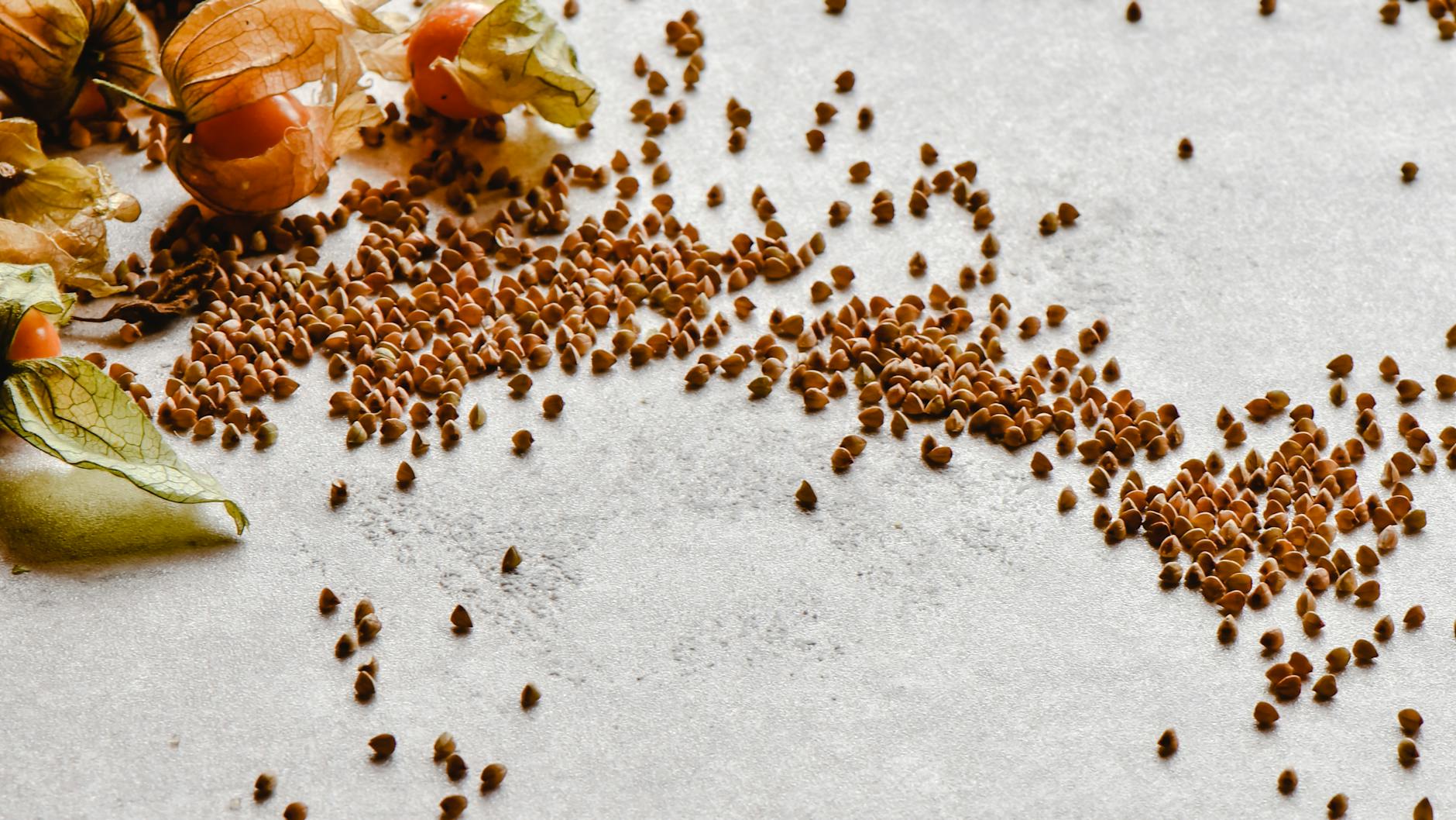 Gardening with Buckwheat (Eriogonum): California’s Hardy Native Gem Discover the resilience, beauty, and ecological value of native California buckwheat (Eriogonum) for sustainable gardens.