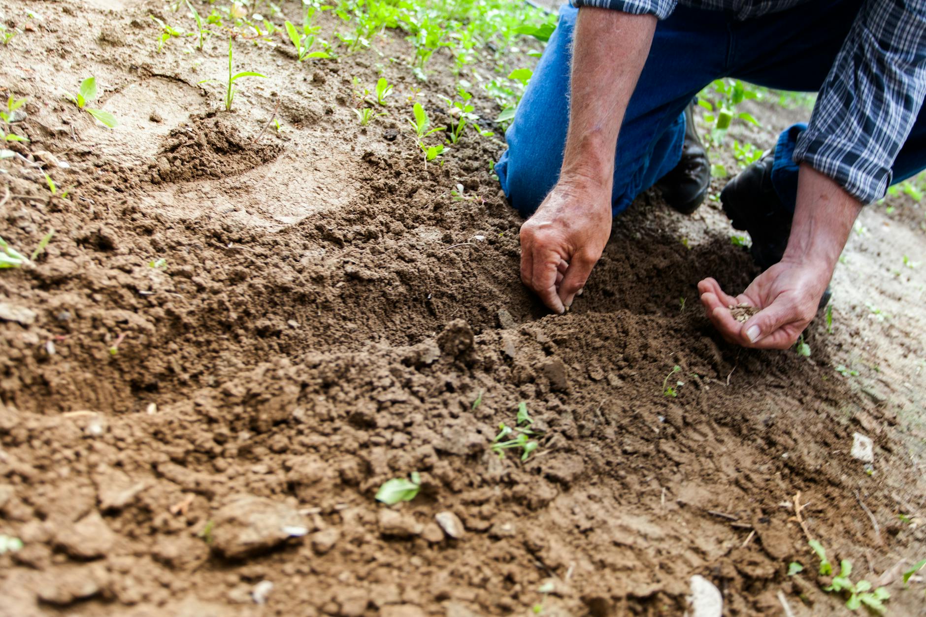 Essential Guide to Small Space Vegetable Gardening Transform even the tiniest areas into productive veggie havens with smart planning and design