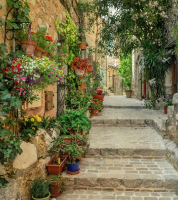 10 Inspiring Garden Ideas to Steal from Provence