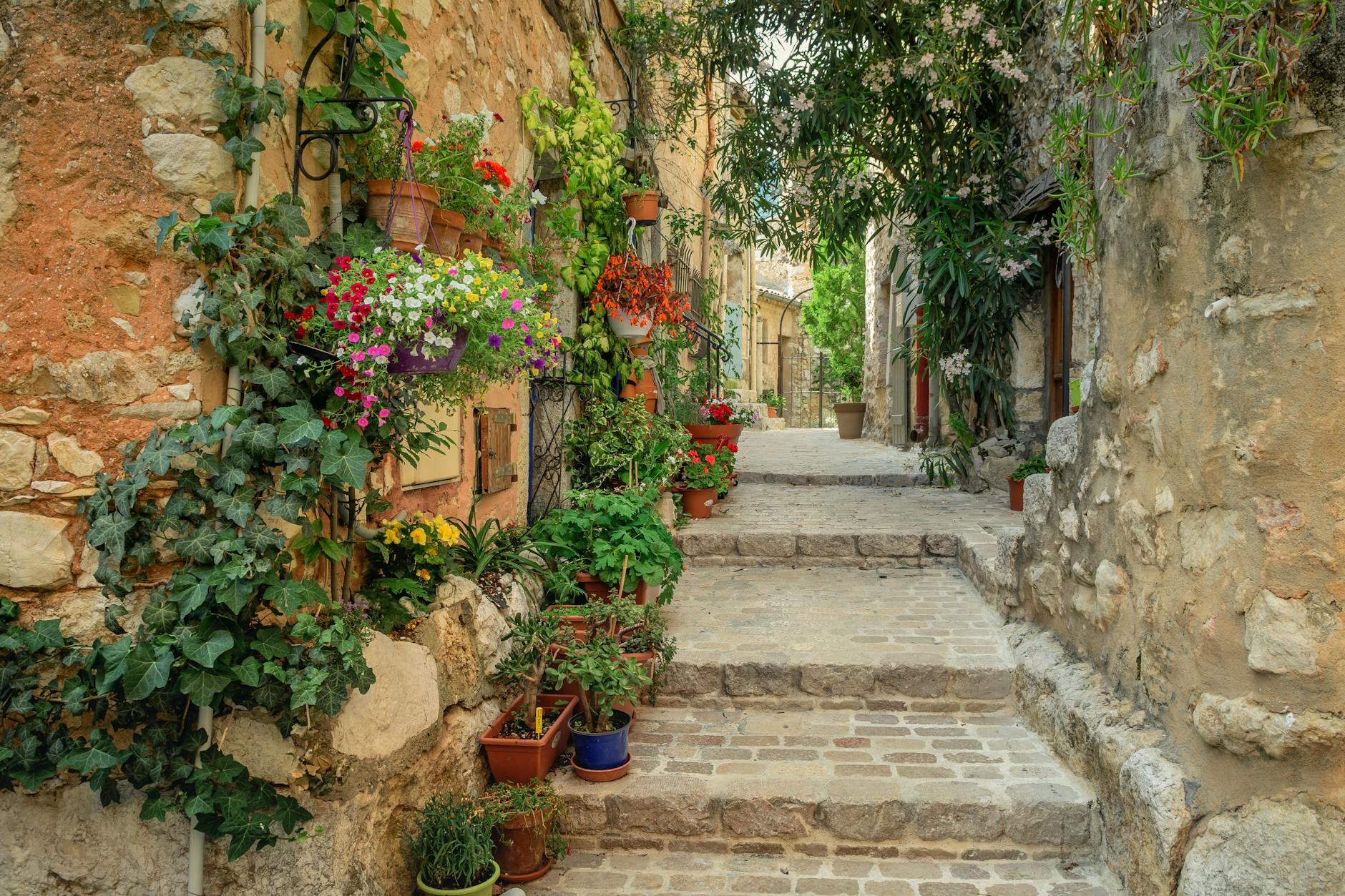 10 Inspiring Garden Ideas to Steal from Provence Transform your outdoor space with timeless, sun-drenched Provençal garden ideas—embrace texture, fragrance, and relaxed southern charm.