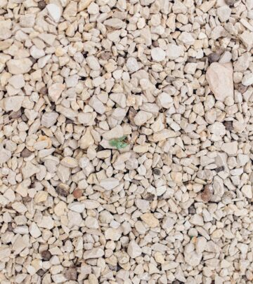 10 Essential Truths About Gravel Gardens