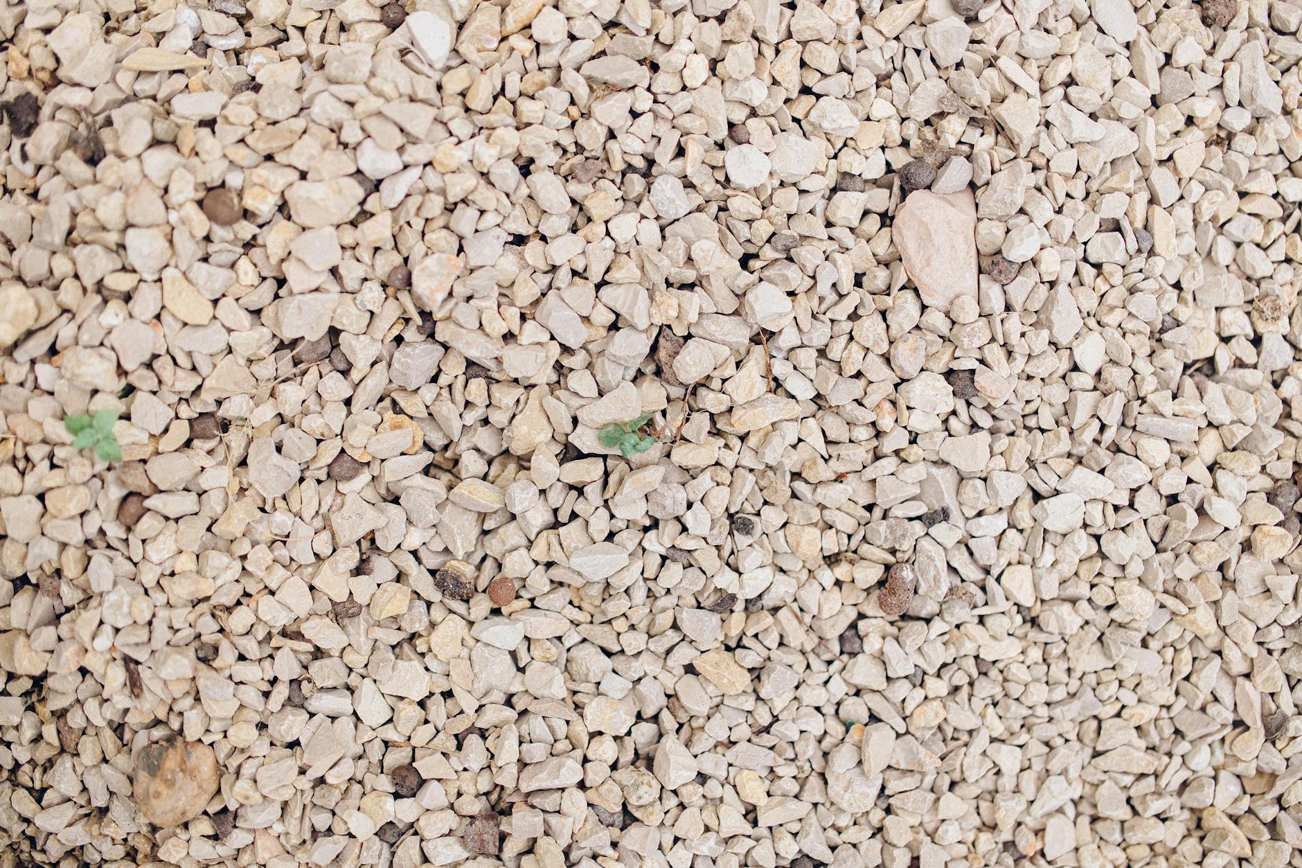 10 Essential Truths About Gravel Gardens Unveiling the hidden realities of creating and maintaining drought-tolerant gravel gardens in modern landscapes