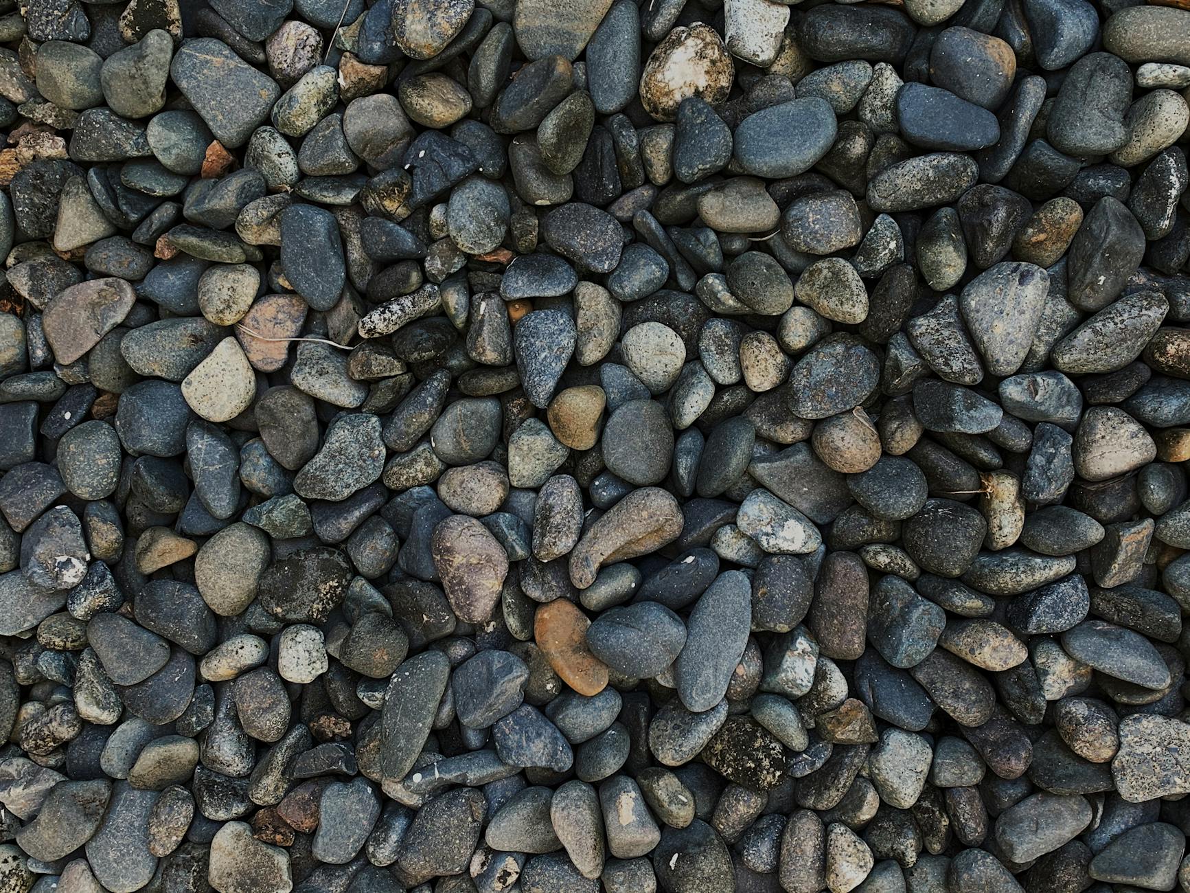 Hardscaping 101: Everything You Need to Know About Pea Gravel Discover why pea gravel remains one of the most versatile, budget-friendly and aesthetically pleasing options for your garden hardscaping projects
