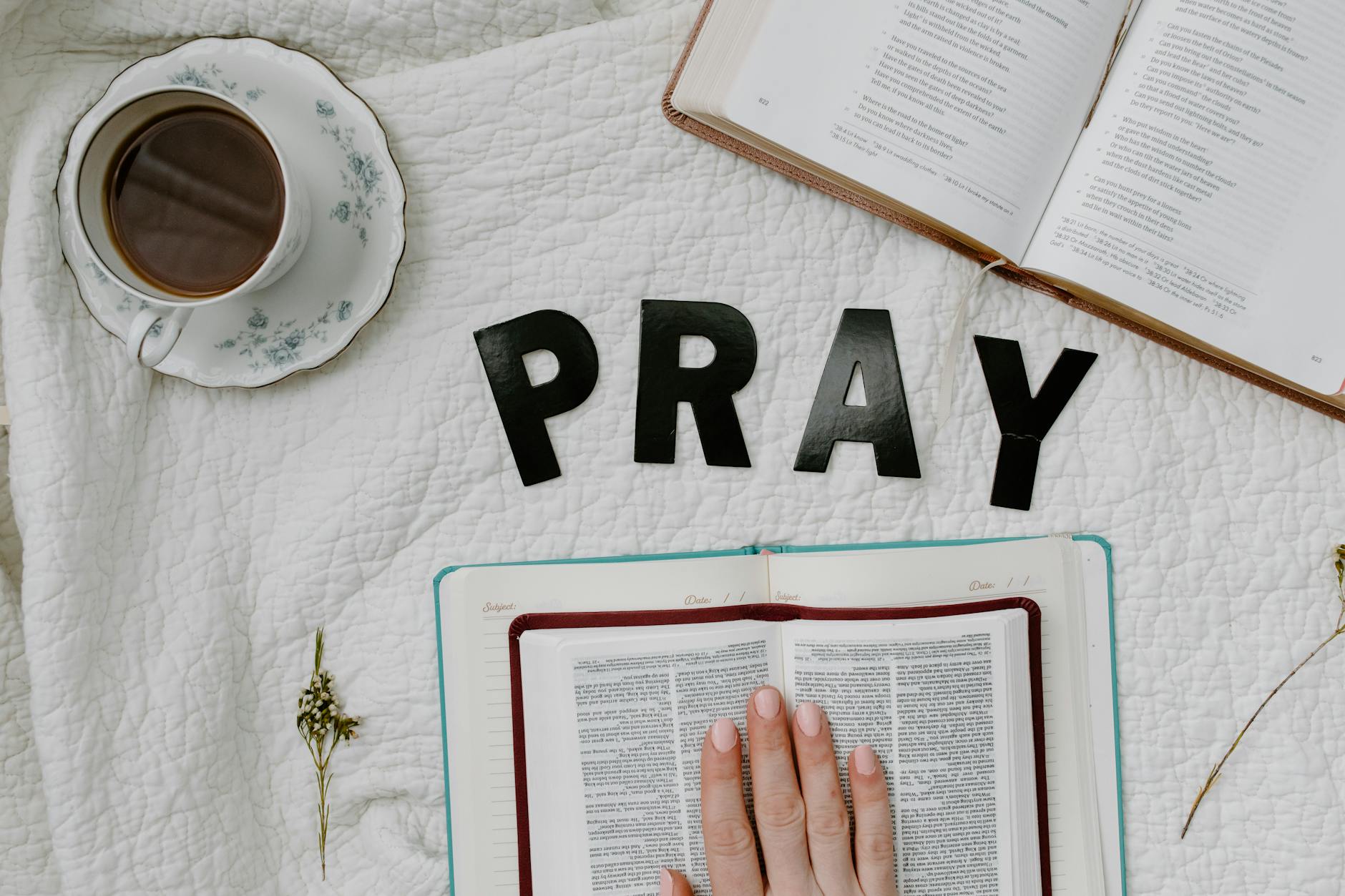 25 Inspiring Father’s Day Bible Verses to Honor Dad Celebrate the special men in your life with these powerful Scripture passages that highlight the importance of fatherhood
