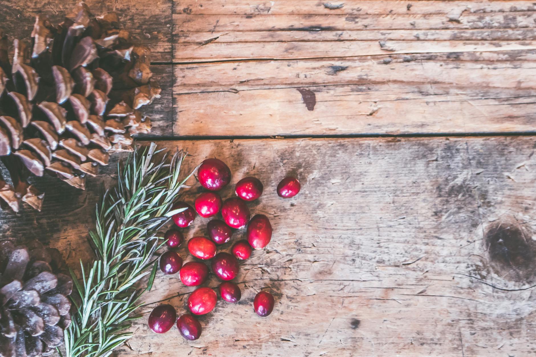 5 Favorites: The Perfect Rosemary Varieties for Your Garden Discover the most versatile and aromatic rosemary varieties that thrive in various conditions