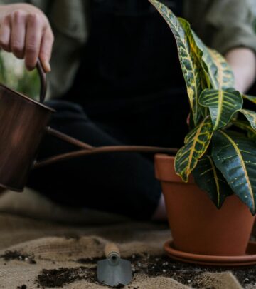 Master garden irrigation: explore systems, installation, water-saving tips, troubleshooting & expert advice.