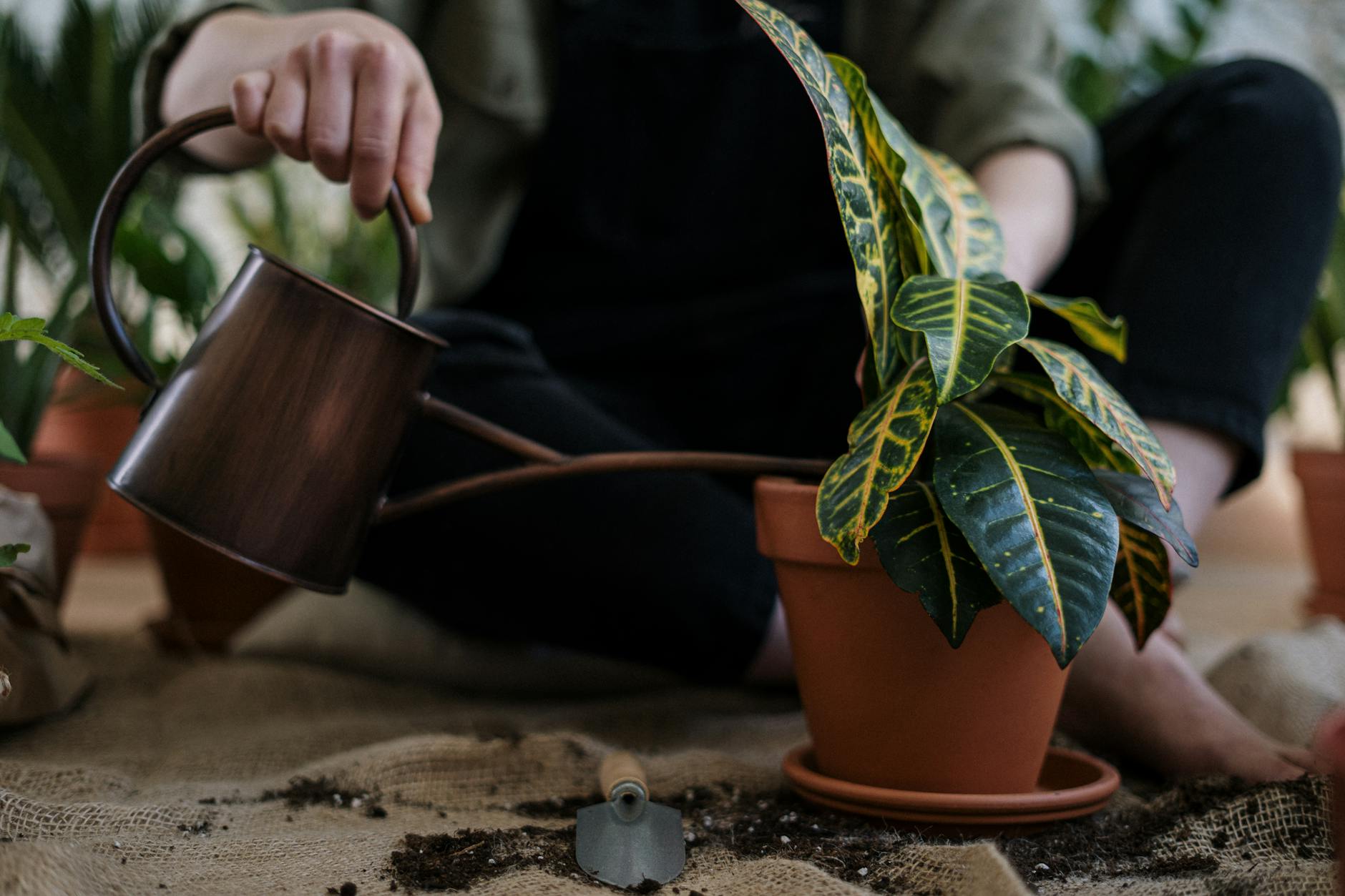 Irrigation 101: A Complete Guide to Watering Your Garden Efficiently Master garden irrigation: explore systems, installation, water-saving tips, troubleshooting & expert advice.