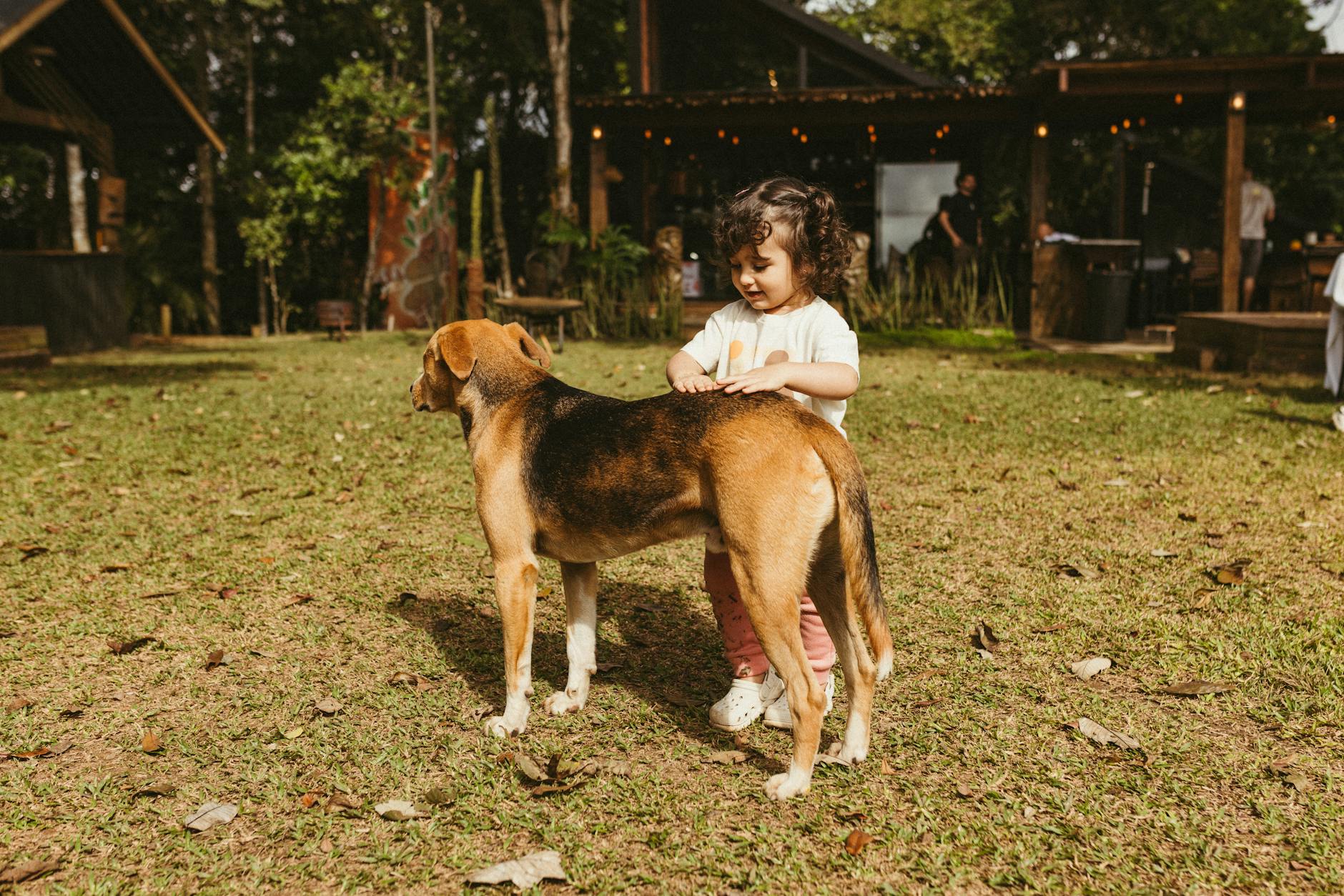 Puppy Diarrhea: Causes, Symptoms, and Effective Treatment A comprehensive guide to understanding, identifying, and managing diarrhea in puppies—what every responsible owner needs to know.