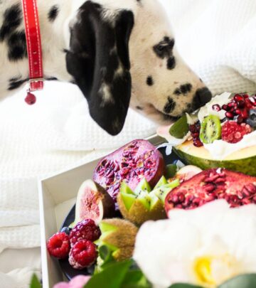 Can Dogs Eat Raspberries? Benefits, Risks, and Safe Feeding Tips