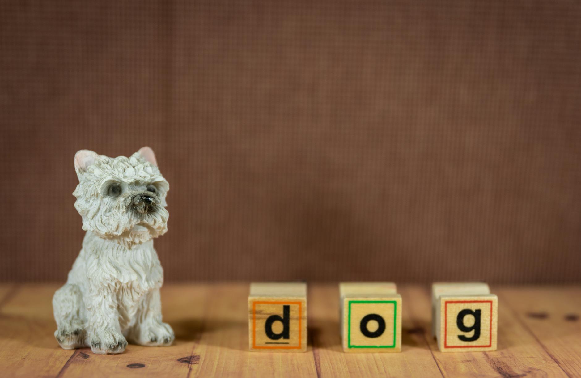 Choosing the Right Toys for Your Puppy Selecting the Right Toys for Your Puppy's Development and Enjoyment