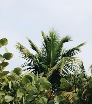 9 Tropical Plants With White Flowers