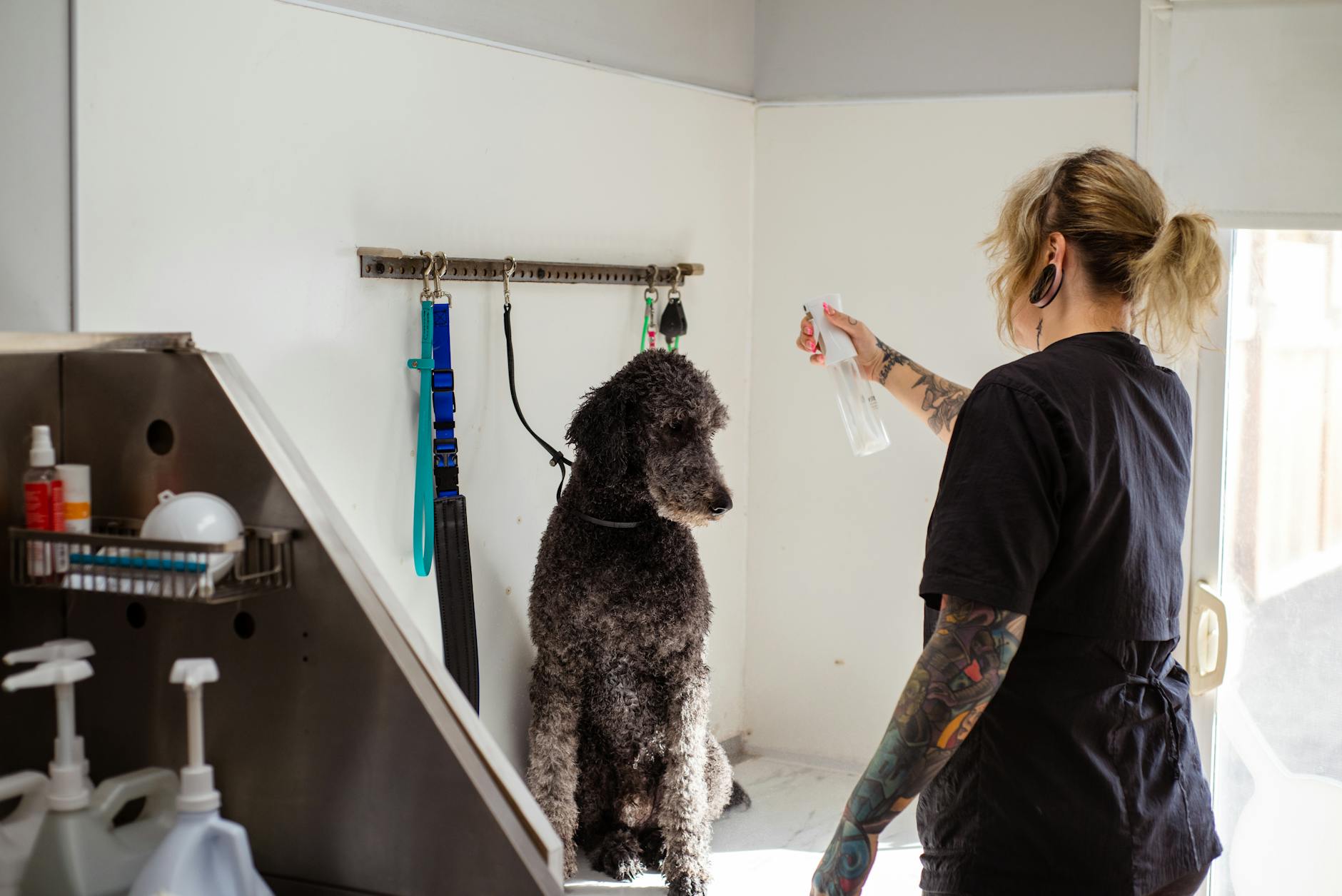 Doxycycline for Dogs: Uses, Dosage, Side Effects, and Alternatives Comprehensive guide on doxycycline for dogs, including uses, proper dosages, potential side effects, and safer alternatives for pet owners.