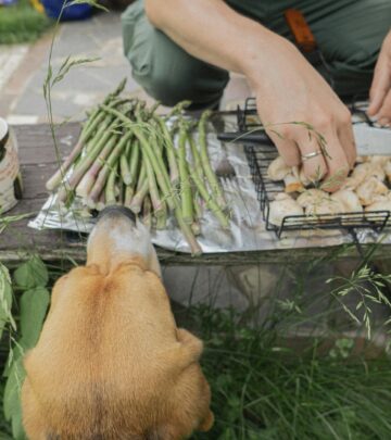 Can Dogs Eat Asparagus? Safety, Benefits, and Best Practices