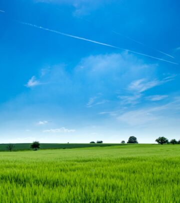 Discover the wisdom of nature through poignant and poetic quotes