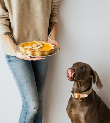 Can Dogs Eat Pork Bones? Safety, Risks, and Healthy Alternatives