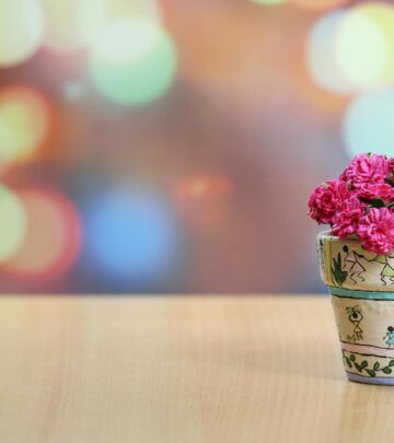 How to Water Mums for Lush, Lasting Blooms