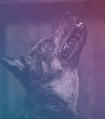 Why Do Dogs Howl? Decoding the Unique Sound of Canine Communication