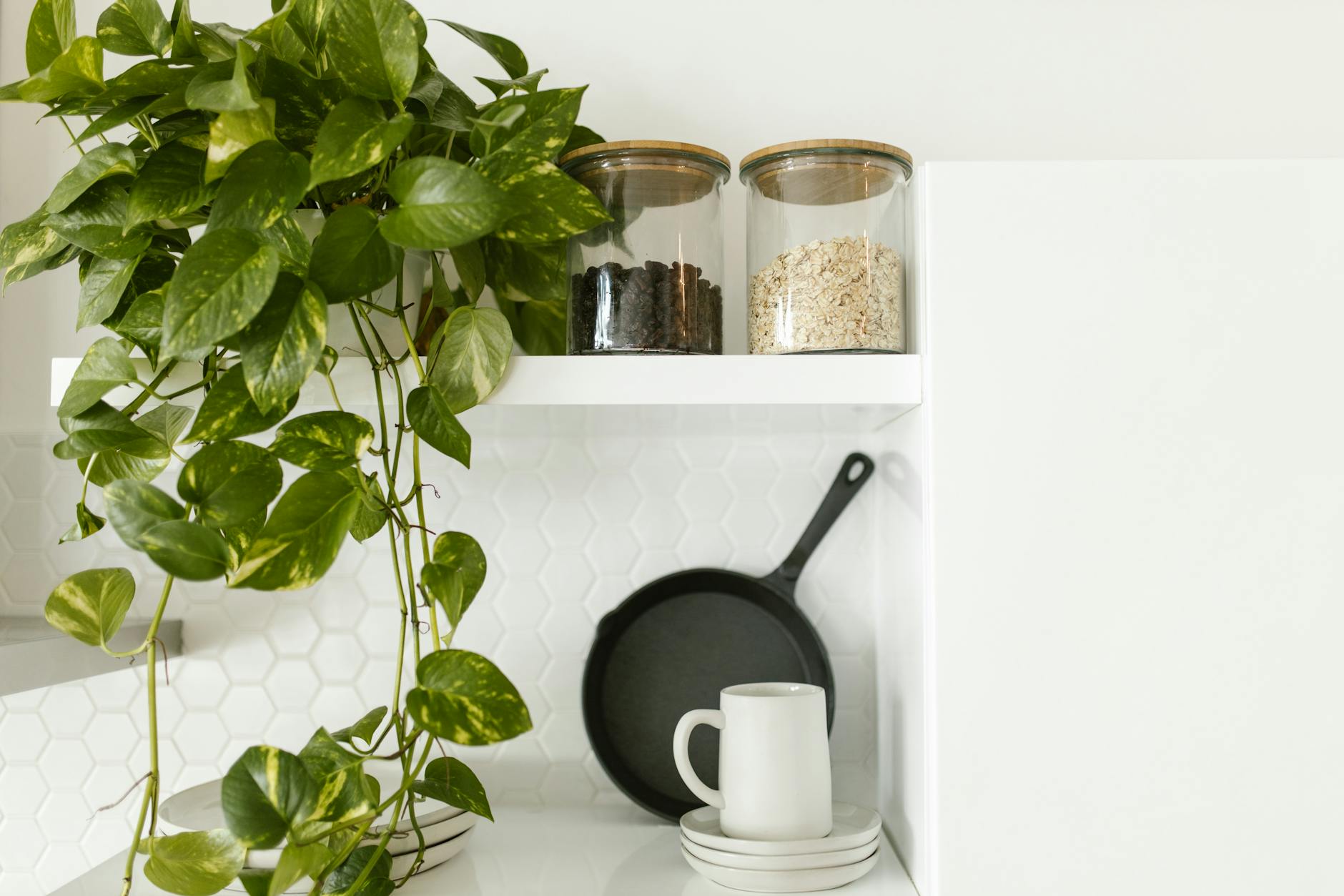How to Grow Green Beans in Containers: A Complete Step-by-Step Guide Fresh flavors are just a pot away with simple steps for a bountiful home harvest.