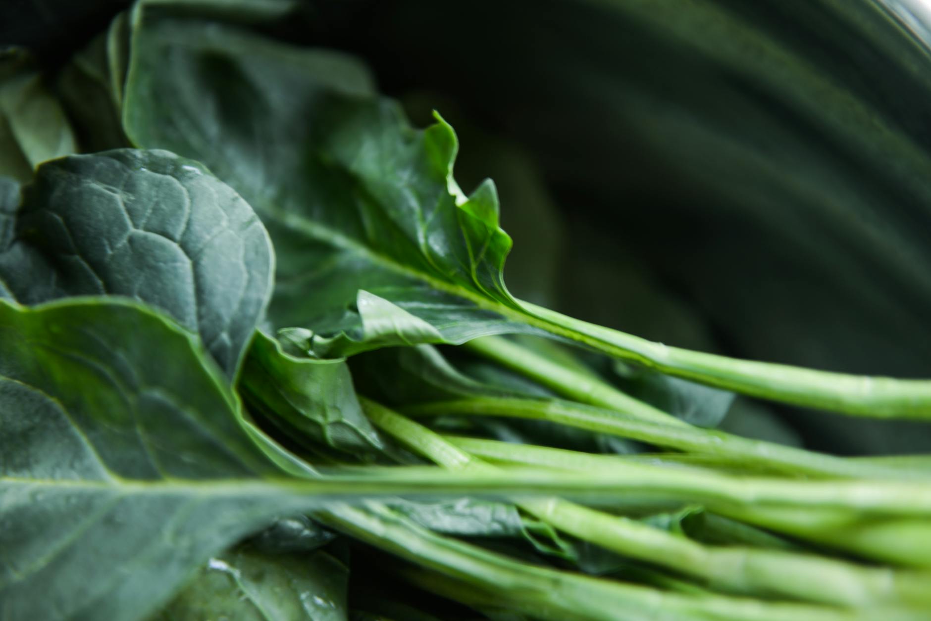 Kale Growth Stages: From Seed to Harvest Kale’s journey from seed to bloom reveals how to enjoy nutrient-packed greens all season.
