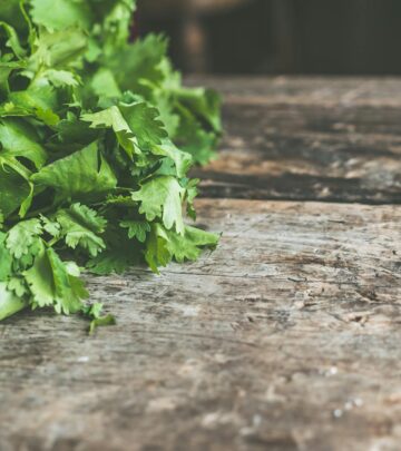 20 Essential Mediterranean Herbs & Spices for Your Garden