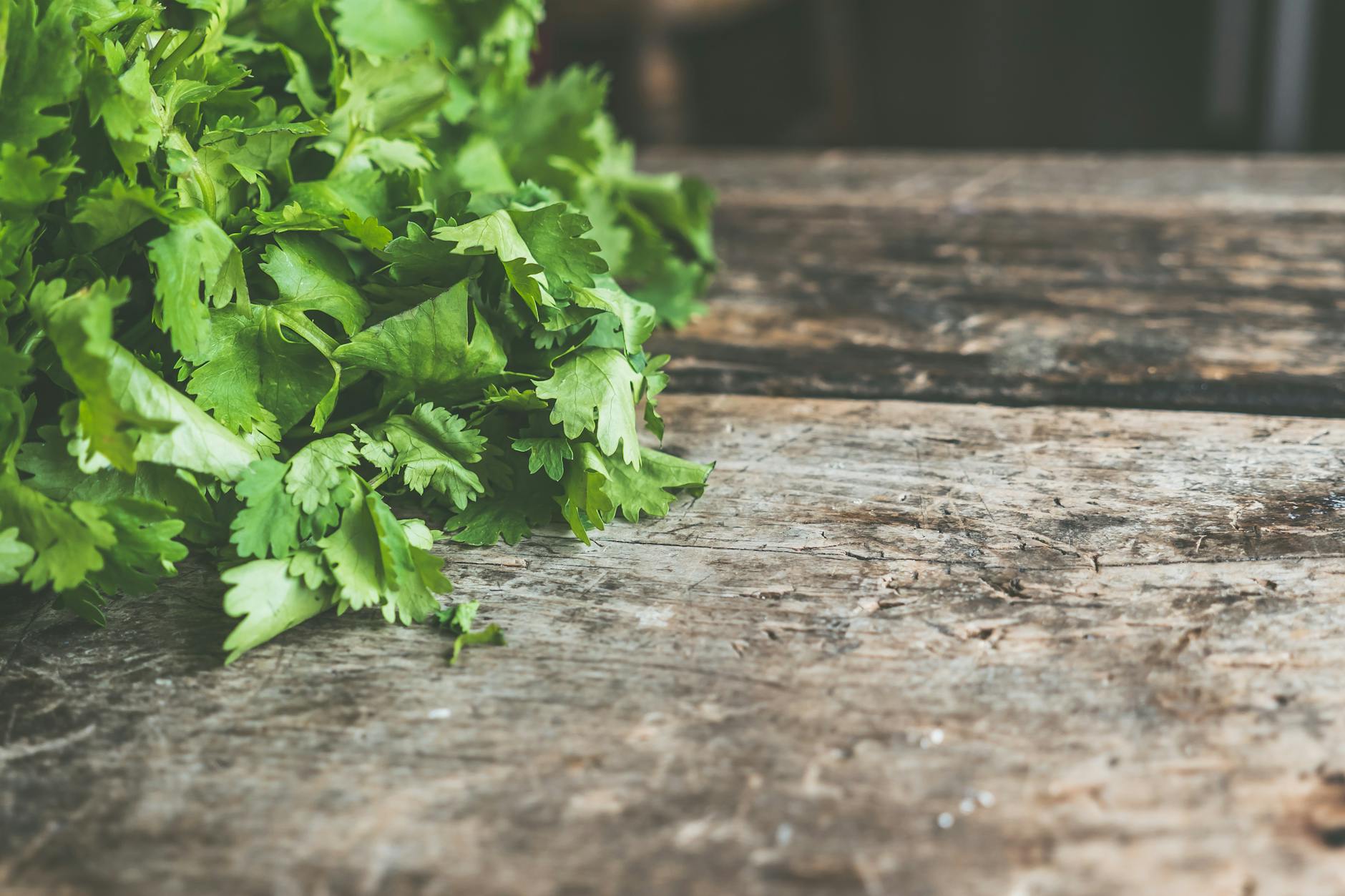 20 Essential Mediterranean Herbs & Spices for Your Garden Sun-loving plants that deliver bold flavor and vibrant blossoms in warm, dry conditions.