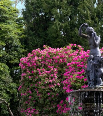 Healthy garden shrubs start with balanced soil, proper watering, and vigilant care.