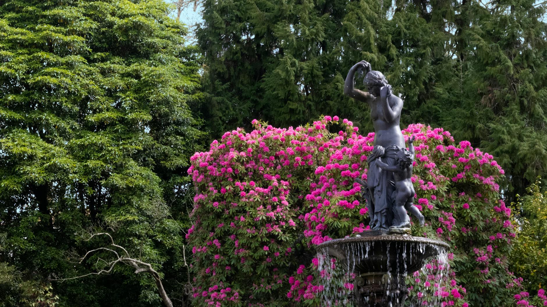 11 Common Rhododendron Problems and How to Fix Them Healthy garden shrubs start with balanced soil, proper watering, and vigilant care.