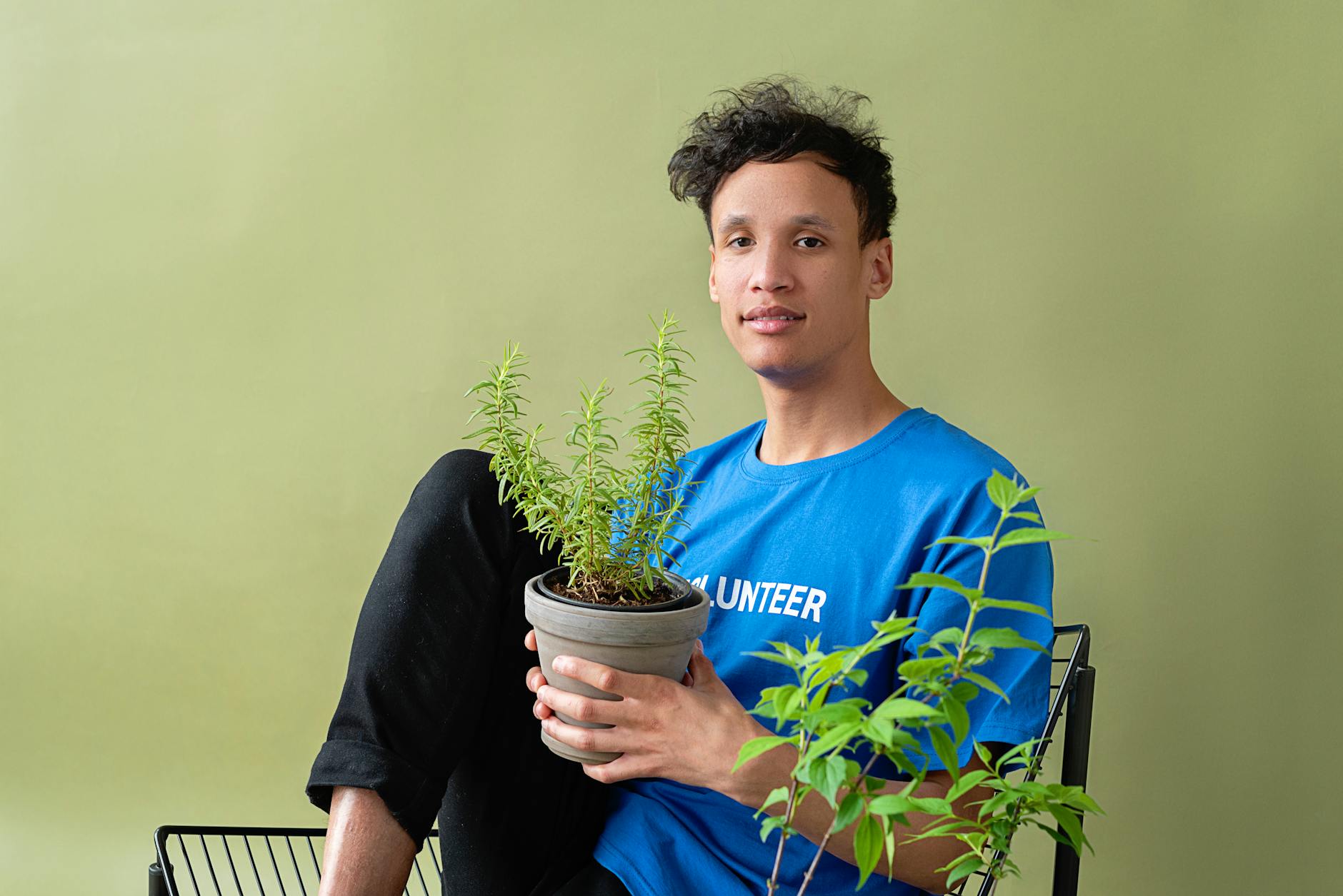 Proper light exposure unlocks rosemary’s fullest aroma and toughest stems.