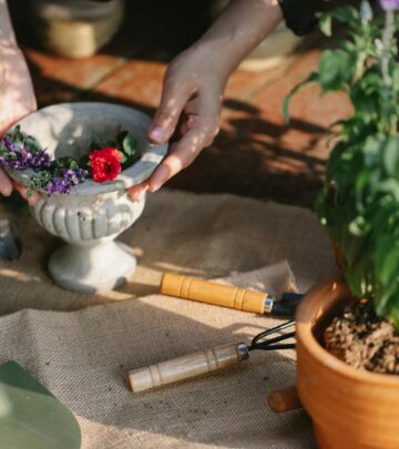 Is Salvia an Annual or Perennial? Understanding Salvia’s Life Cycle in Your Garden