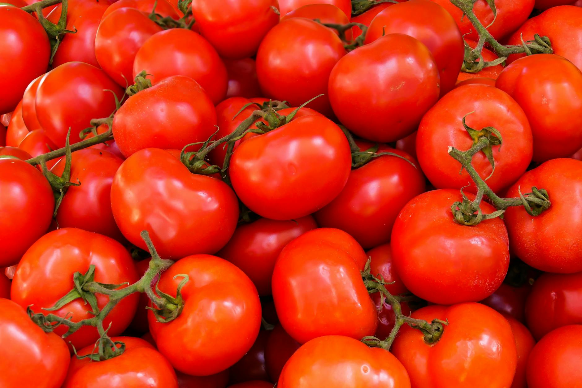 Organizing by fruit form, plant habit, and seed category guides harvests for flavor and culinary purposes.