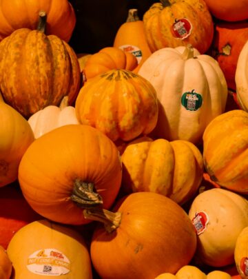 Spotting ripe squash and handling it gently unlocks sweet taste and lasting freshness.