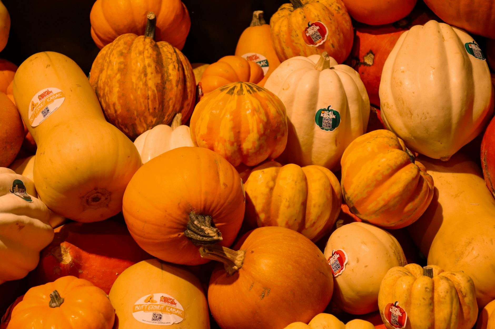 Spotting ripe squash and handling it gently unlocks sweet taste and lasting freshness.
