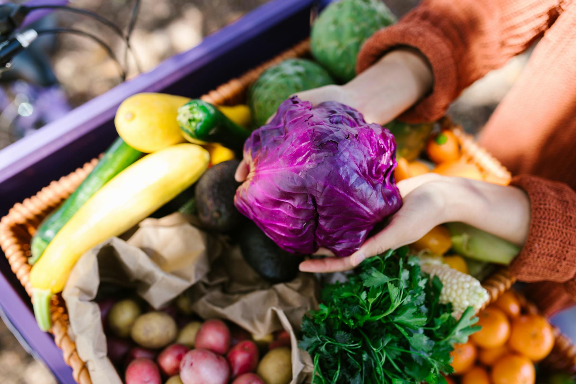 Choose the ideal variety for every recipe and garden with confidence this season.
