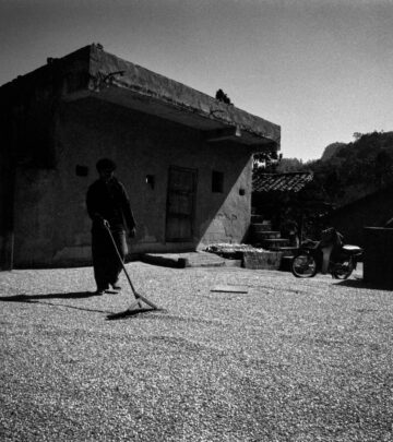 10 Essential Gravel Garden Rakes for Japanese Rock Gardens