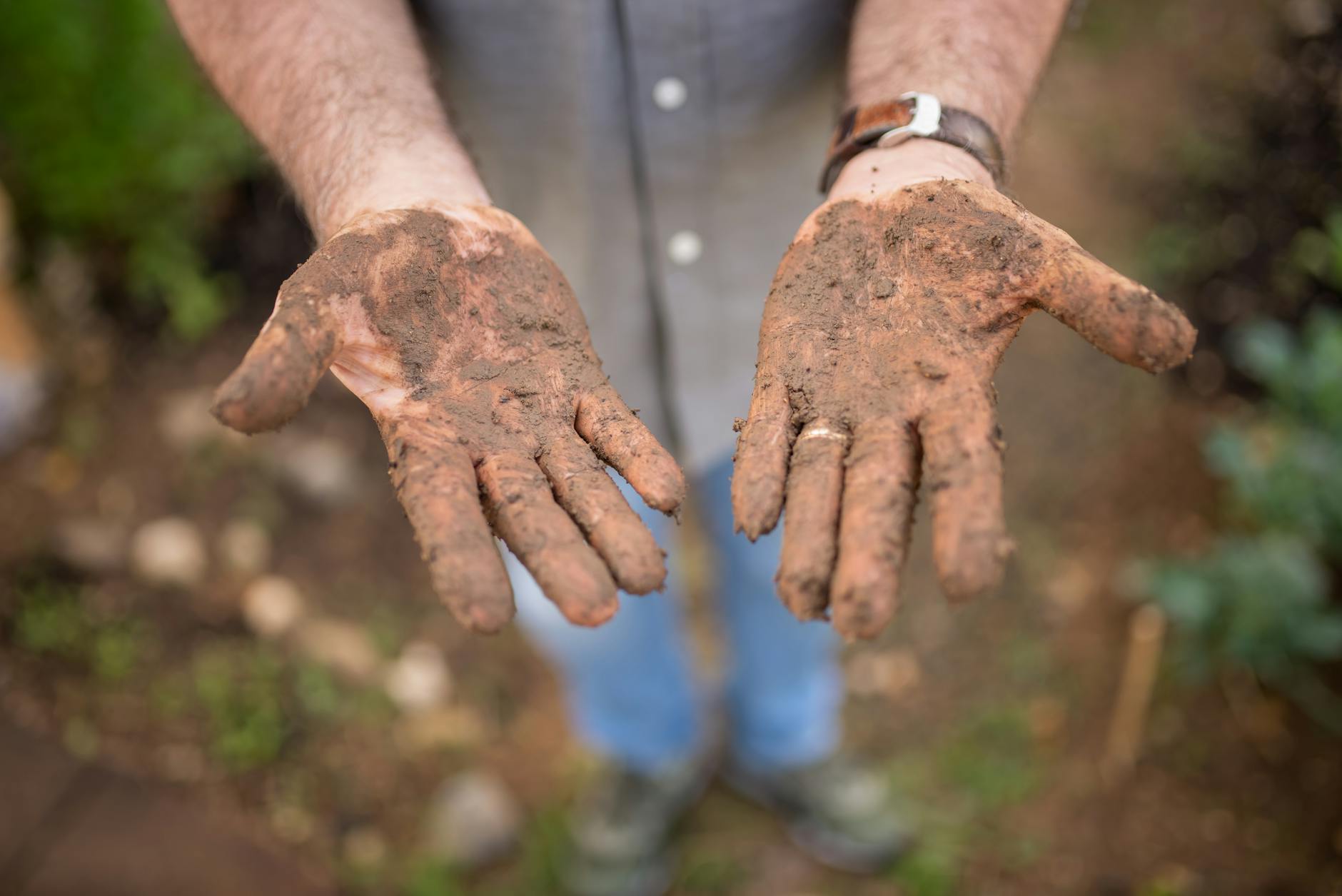 Nurture underground life to build a resilient foundation for lush blooms.