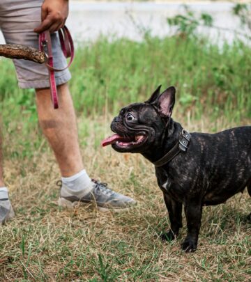AKC S.T.A.R. Puppy Program: Building Foundations for a Lifetime of Good Canine Behavior