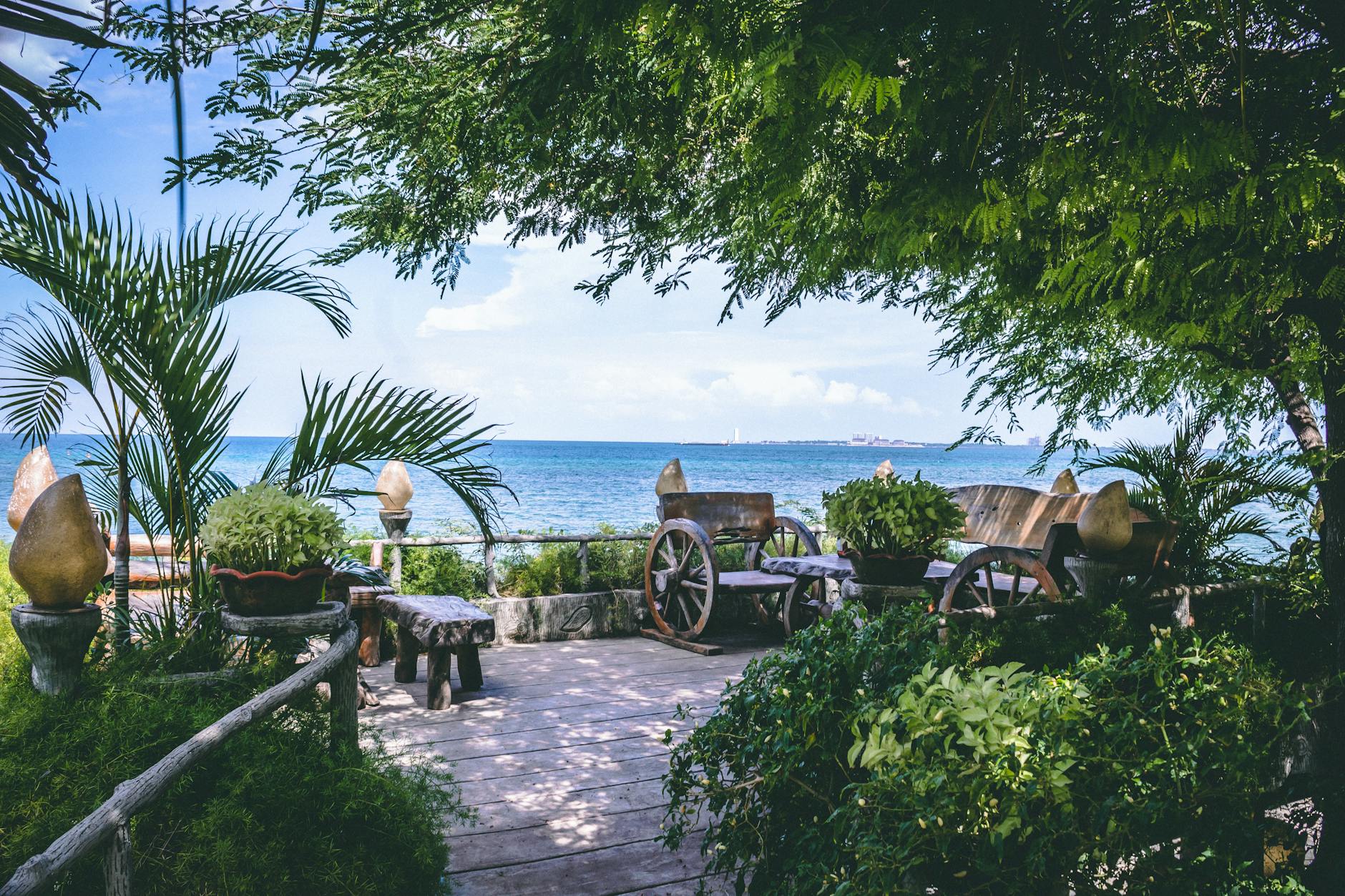 Shoreline plantings and hardscapes show how to thrive in salt, wind, and sand.