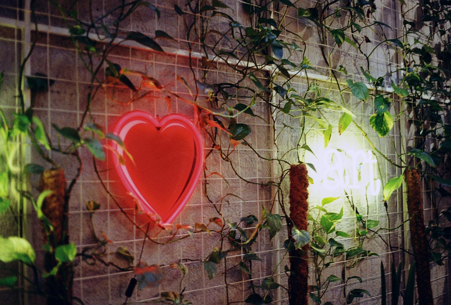 A botanical twist on romance that grows beyond the holiday.