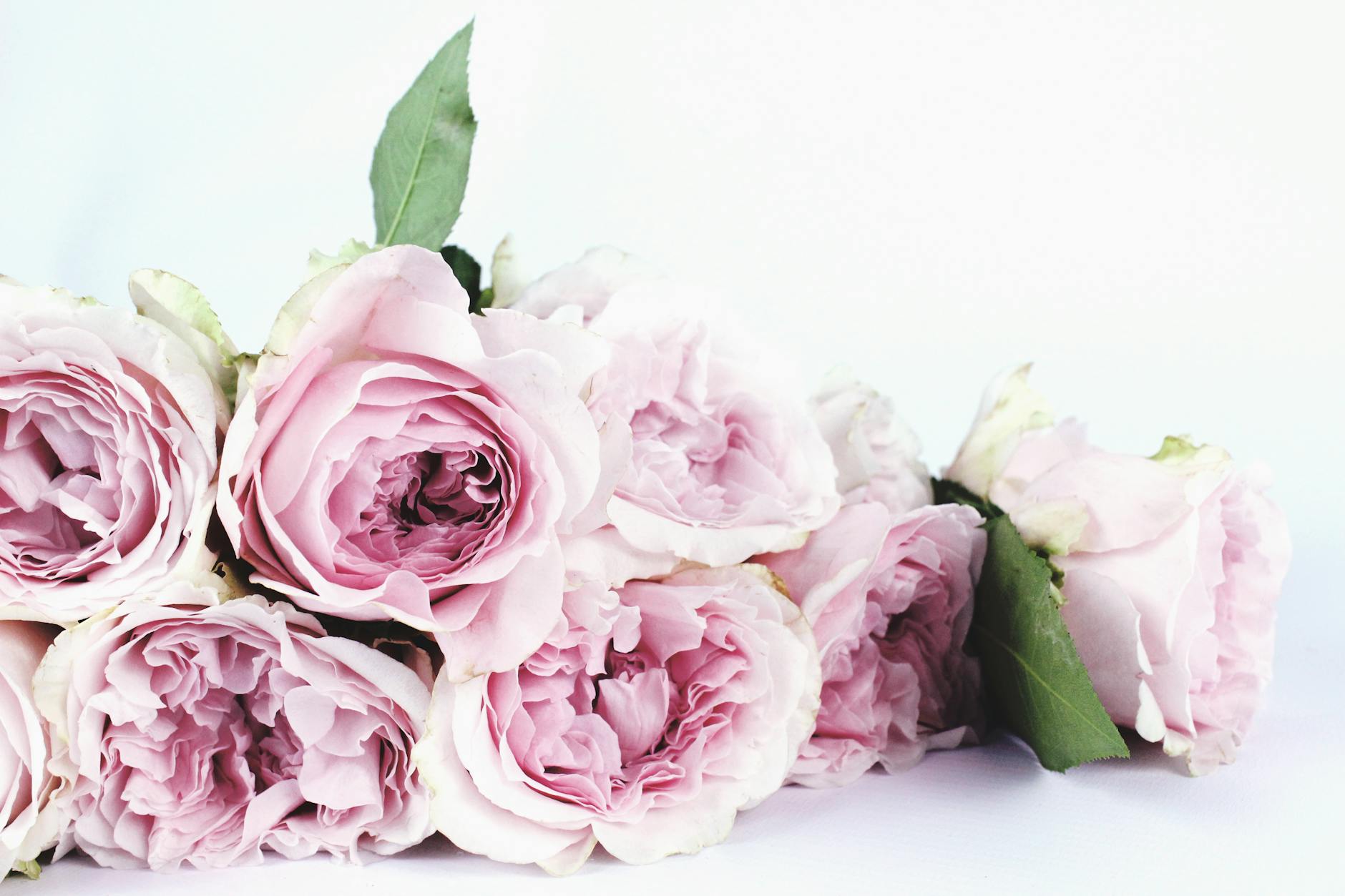 Floral infusions and edible adornments elevate home cooking with vibrant taste and aroma.