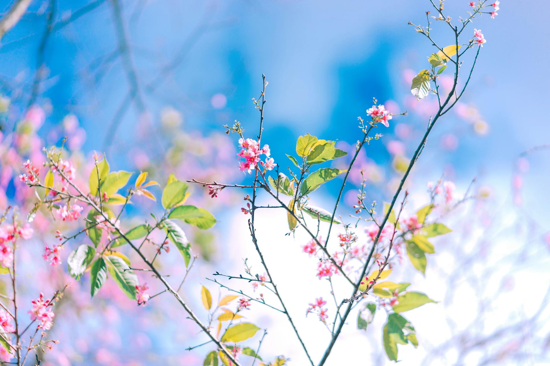 Add lasting texture and warmth to your décor using minimal, nature-inspired elements.