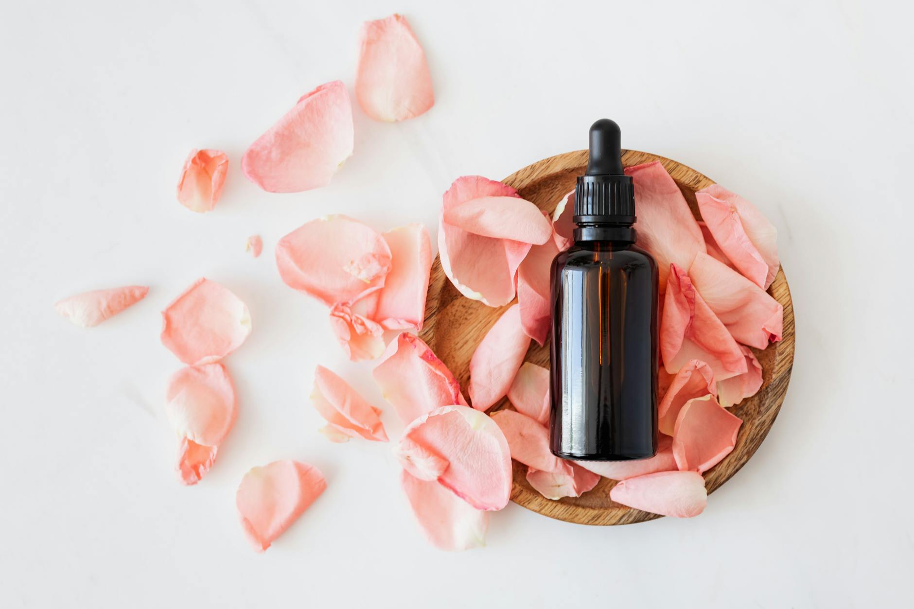 Choose vet-approved fragrances to protect canine health and avoid household hazards.