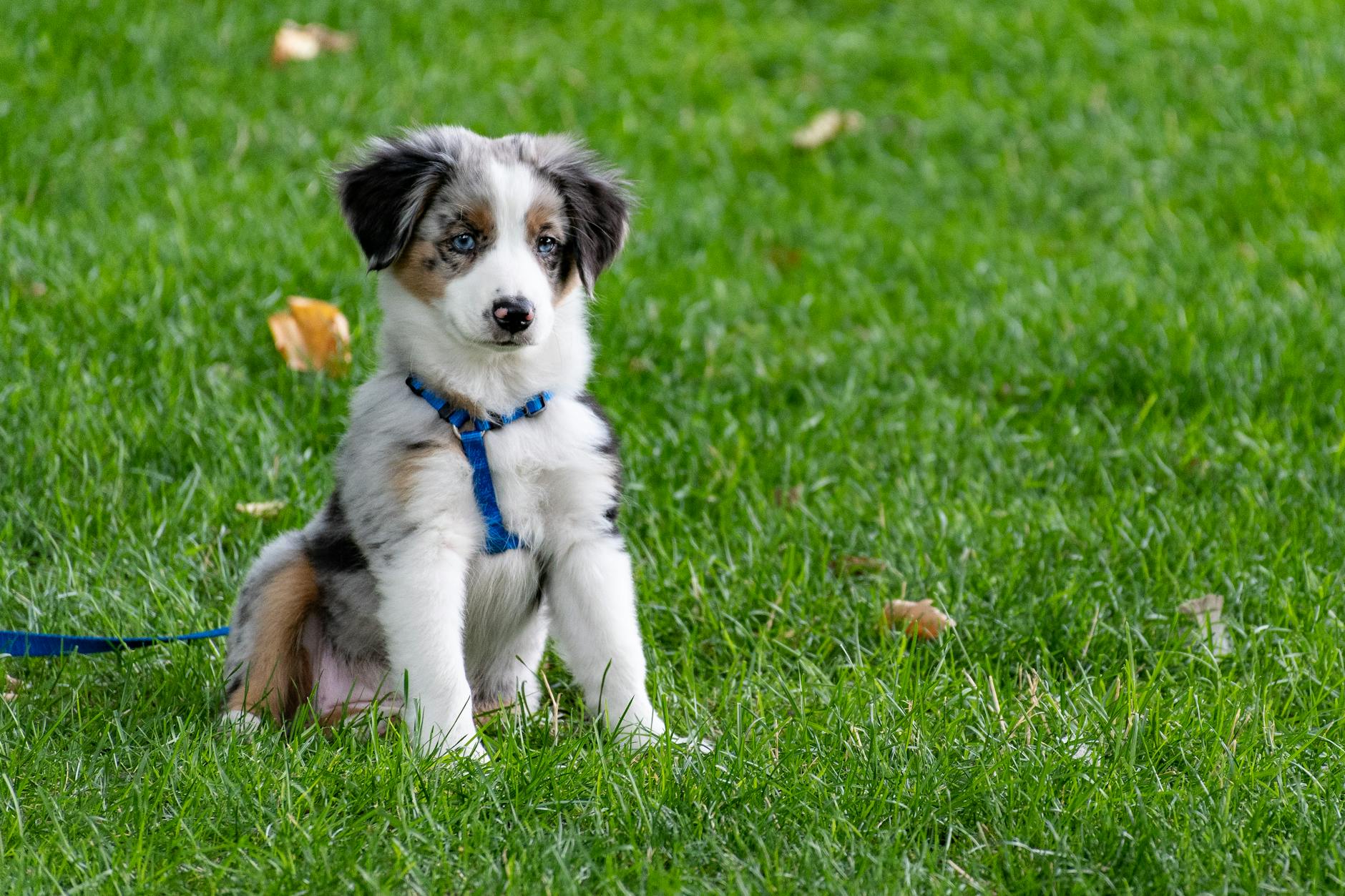 Gentle, consistent outdoor schedules help nurture trust and healthy habits early on.