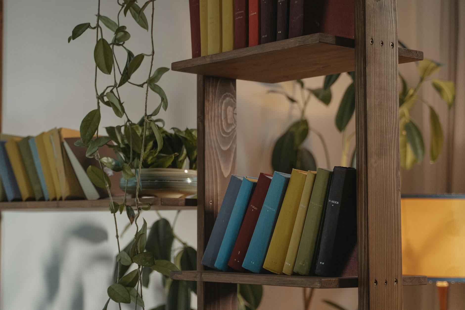 Everything You Need to Know About Growing Houseplant Vines Indoors Lush cascades and vertical greens bring life to every corner of your home.