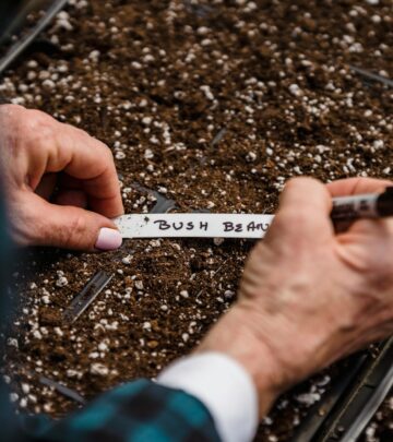 Fedco Seeds: Honest Seeds and Cooperative Values for Every Gardener