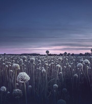 Field Garlic: The Sustainable and Flavorful Alternative to Wild Ramps